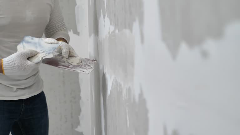 Best Drywall Texturing  in Dalworthington Gardens, TX